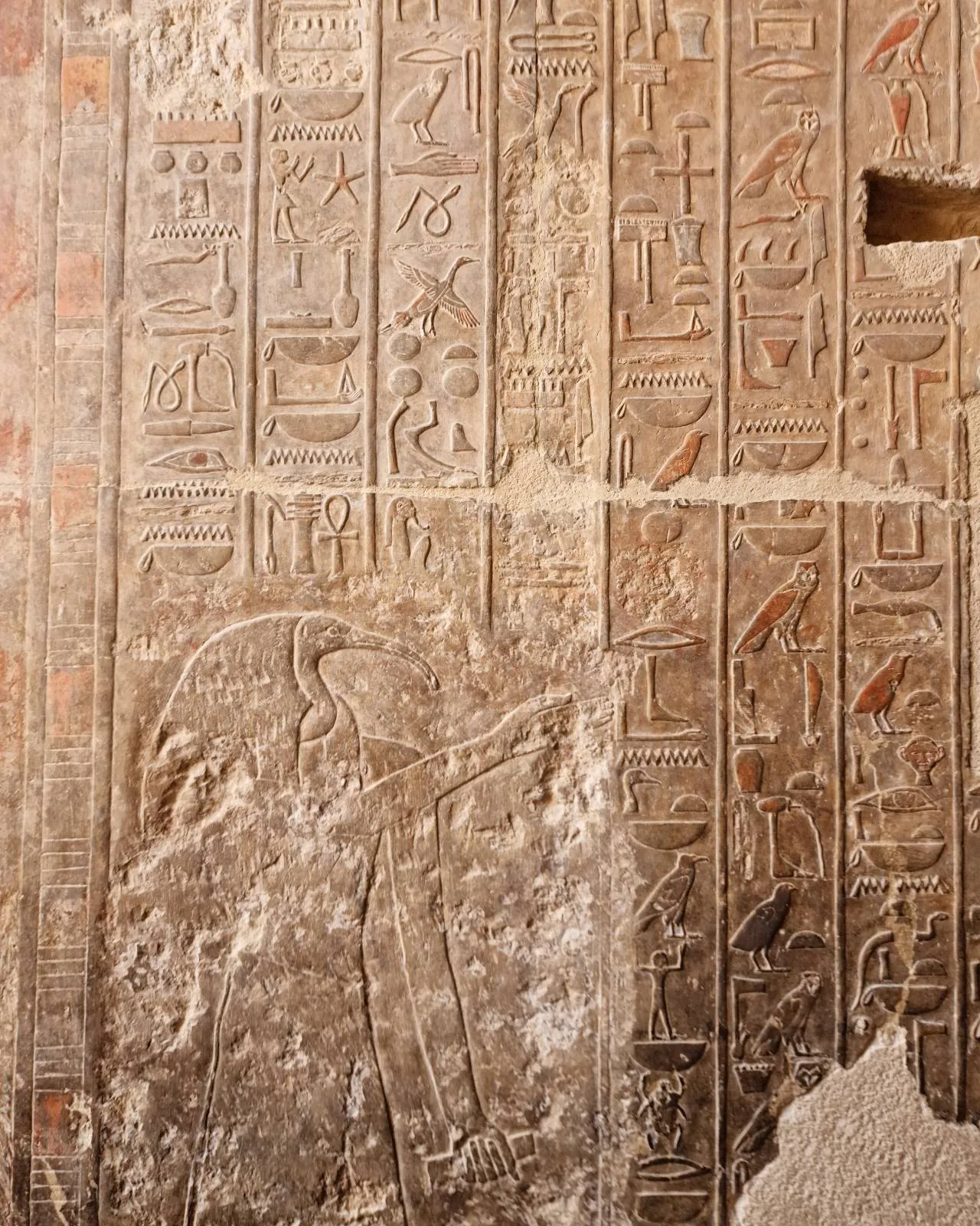 Ancient Egyptian hieroglyphs carved into a stone wall. The carvings include various symbols and figures, some with faded paint, arranged in vertical columns. The stone surface shows signs of wear and weathering.