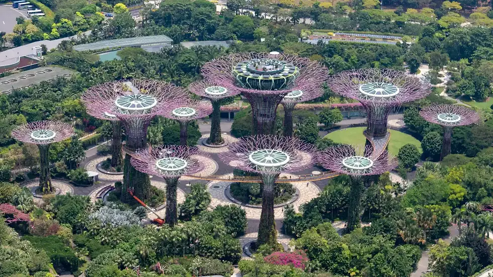 Aerial view of futuristic giant tree structures with green tops in a lush garden. Surrounded by pathways and dense greenery, evoking wonder.