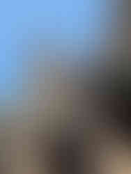 Ancient stone temple ruins with detailed carvings and a tall tower set against a clear blue sky, part of Bayon Temple in Cambodia.