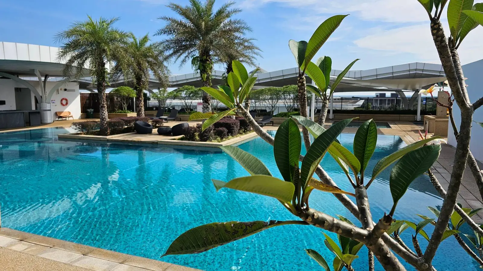 A serene outdoor pool is surrounded by lush palm trees and lounge chairs, with clear blue water reflecting the sky. A leafy branch is in the foreground, adding a touch of greenery to the scene.