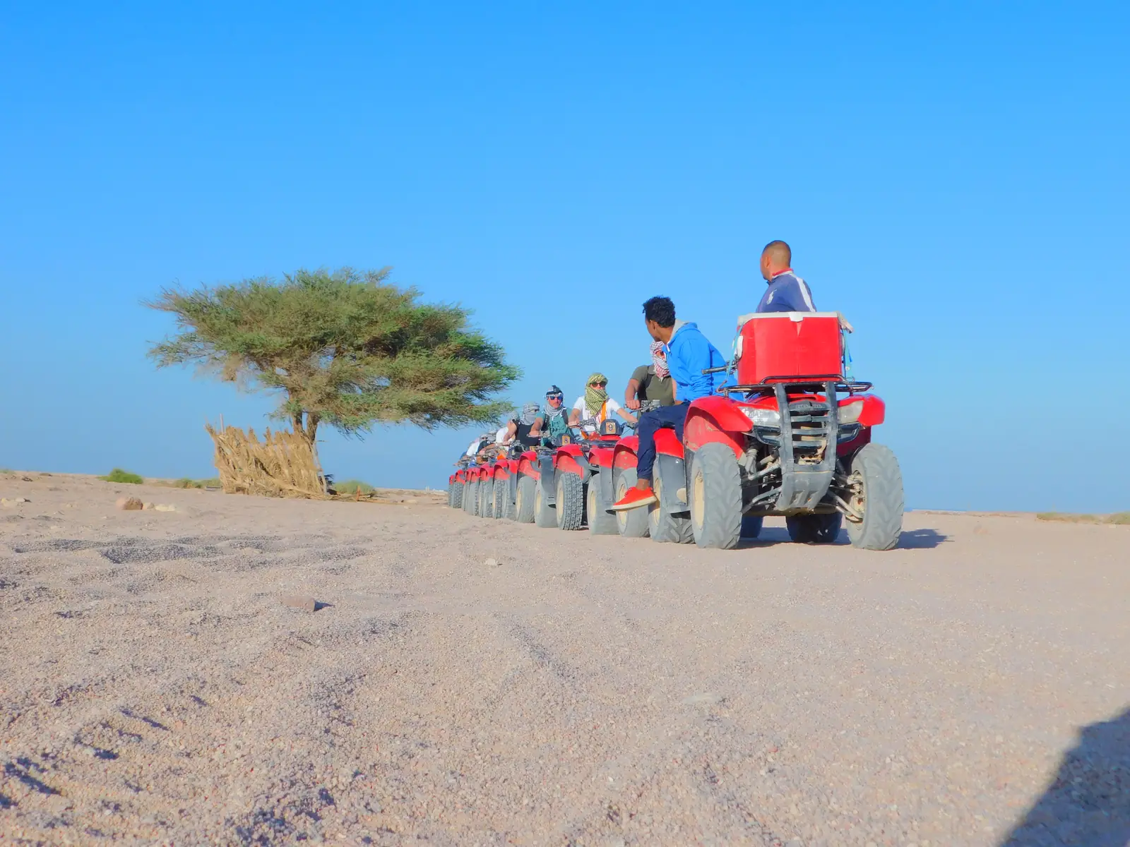 A group of people rides red ATVs in a line across a sandy desert landscape under a clear blue sky. A single tree stands to the left in the background.