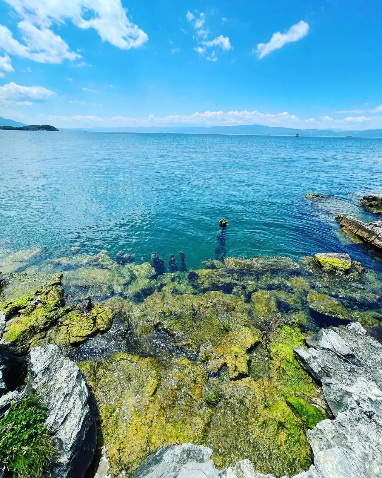 A scenic view of a calm blue sea with clear skies above. Rocky edges and green algae can be seen in the foreground, while distant land and mountains are barely visible on the horizon.