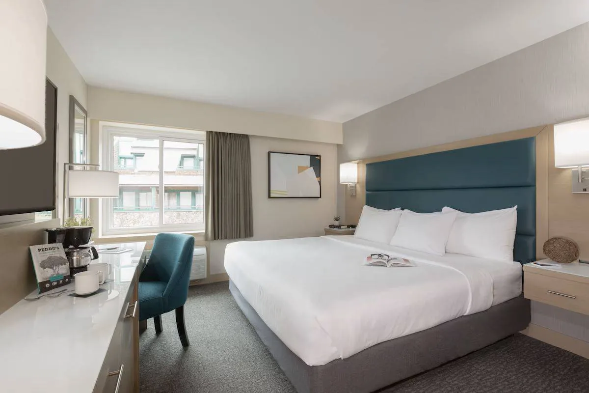 Hotel room with a large bed, teal headboard, and white linens. A desk with a teal chair, a lamp, and coffee maker is on the left. A window lets in natural light. The walls are light-colored, adorned with a simple framed artwork.