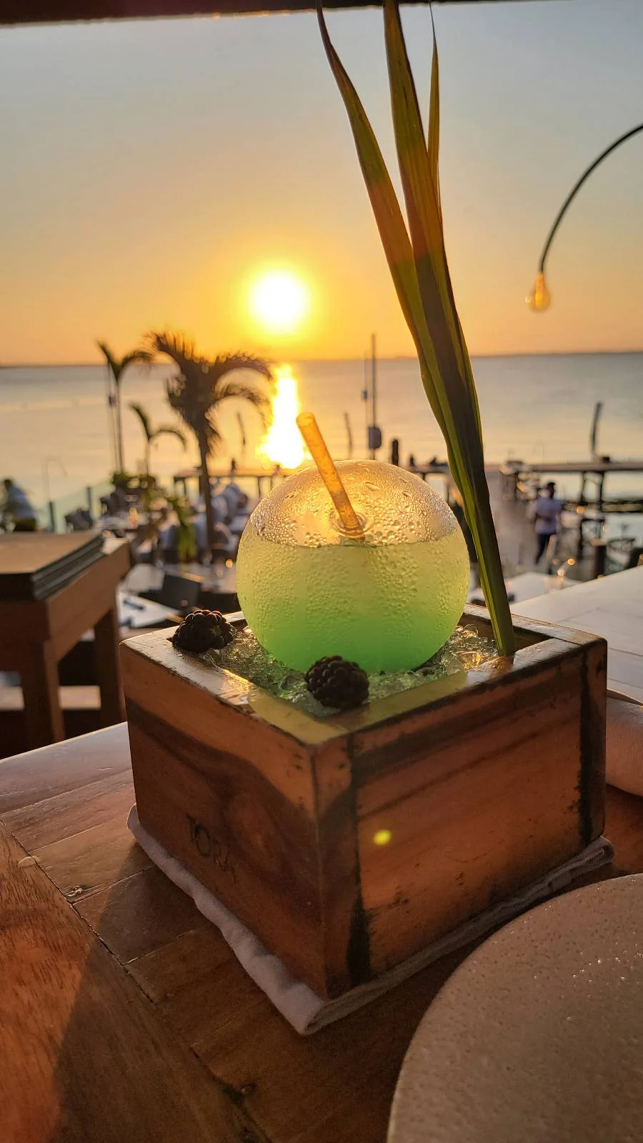 A green cocktail in a round glass sits on a wooden stand with seashell decorations. A straw and plant garnish protrude from the drink. The backdrop features a sunset over a calm ocean, with silhouetted palm trees and people in the distance.