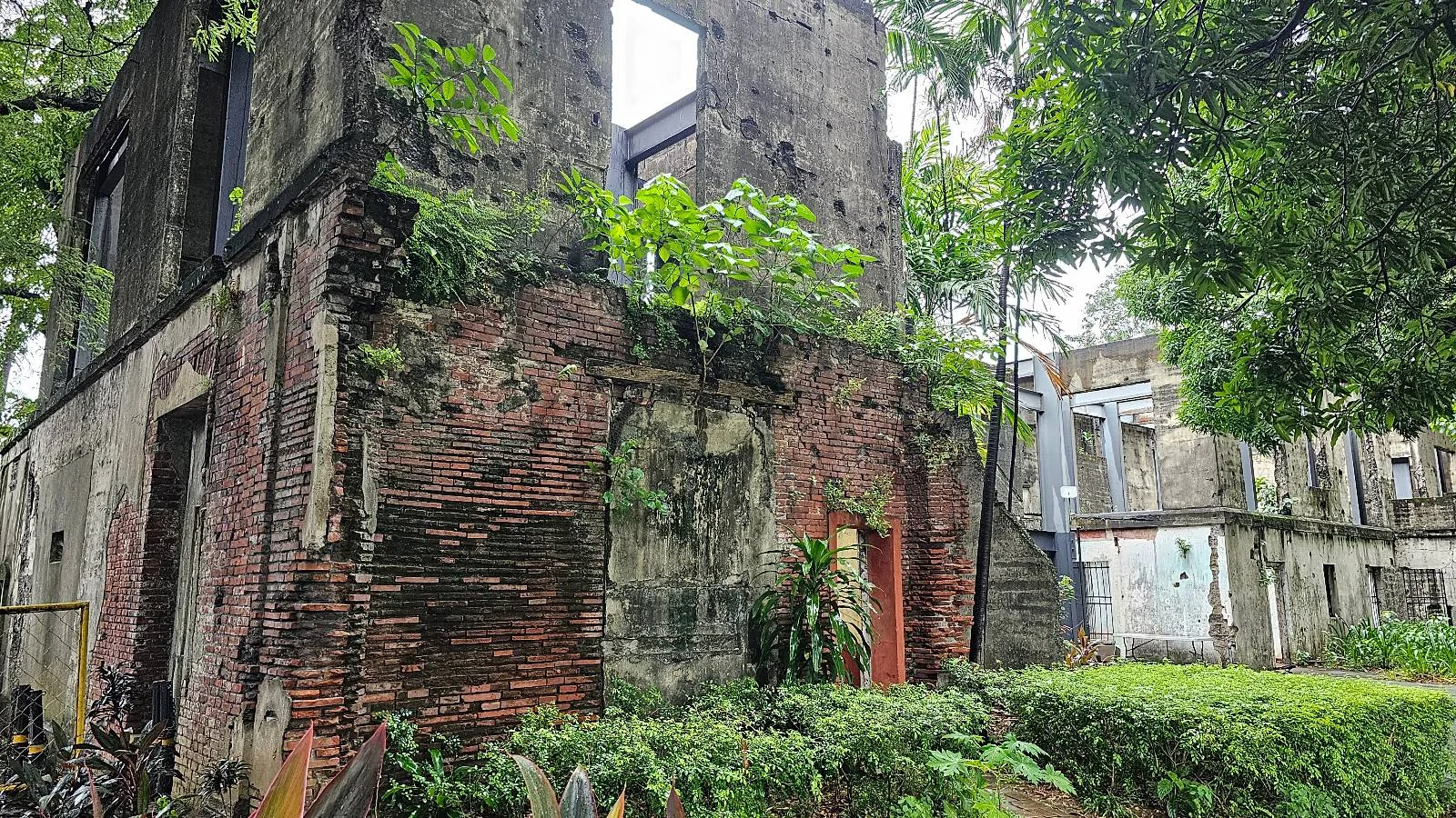 A weathered, ivy-covered brick building stands partially in ruins, surrounded by green foliage. The upper windows are missing, and the structure is enveloped by trees. Nearby, a small fence and a parked bicycle are visible.