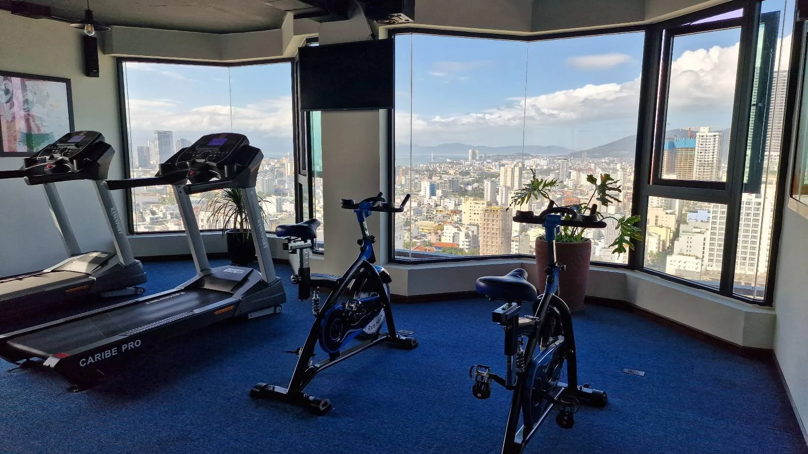 A gym room with two stationary bikes and a treadmill, featuring large windows overlooking a cityscape and mountains in the background, with blue carpeted flooring.