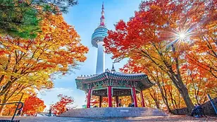 N Seoul Tower with cable car pavilion surrounded by autumn foliage in Seoul