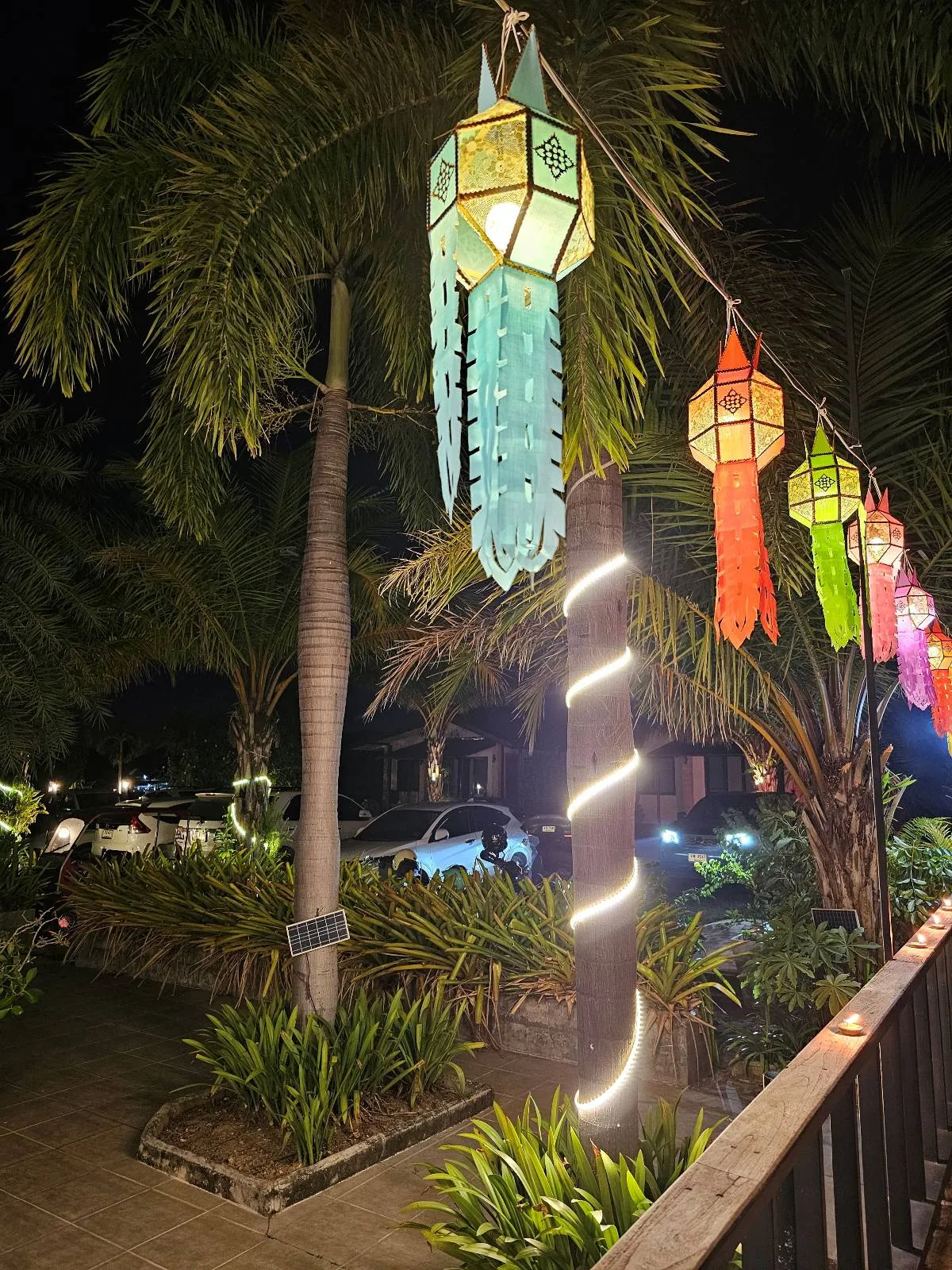 Colorful lanterns hang in a row above a garden path with palm trees, illuminated at night.