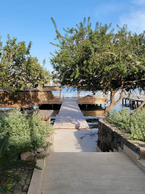 A narrow wooden pier leads to a shaded area over the water, flanked by dense greenery on both sides.