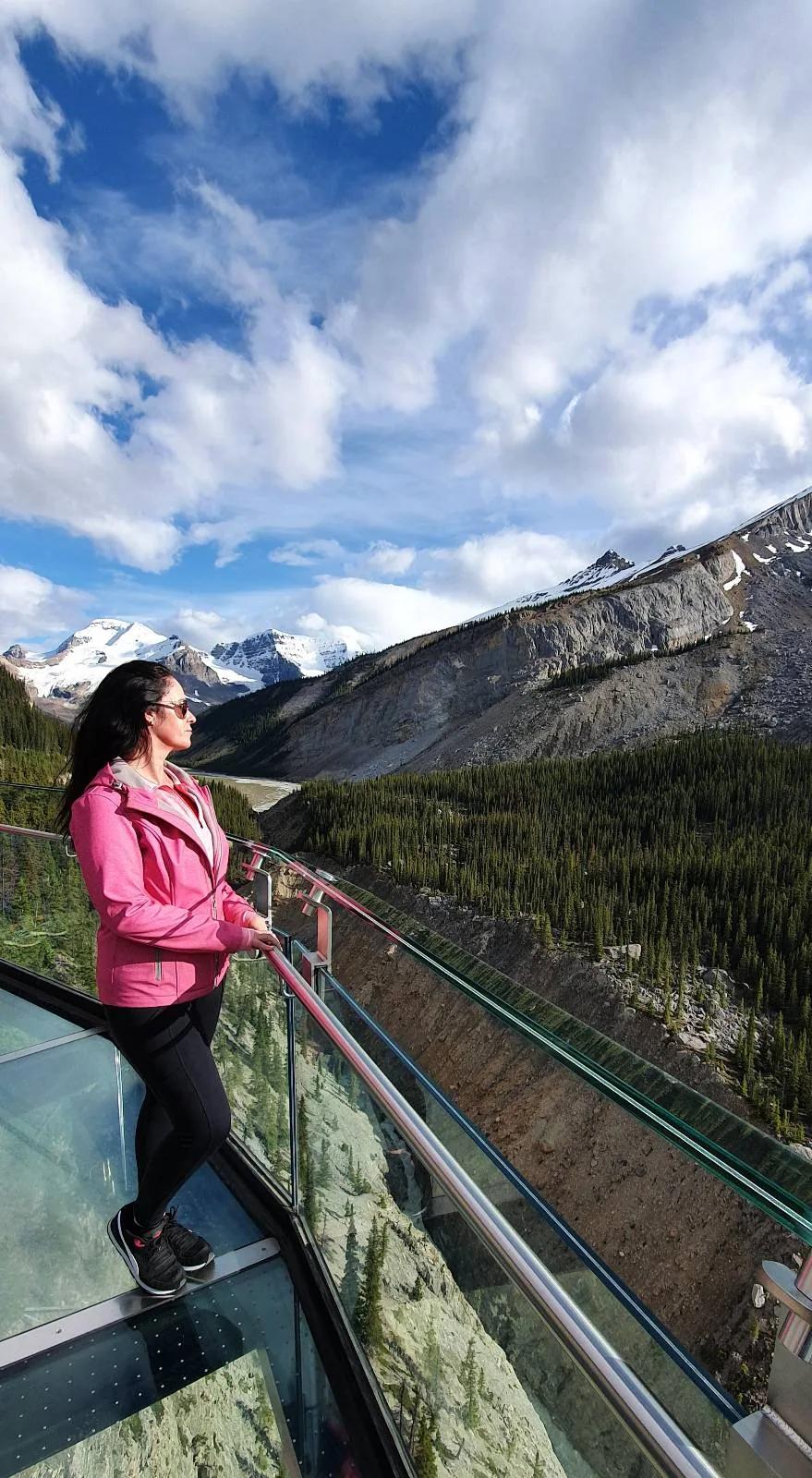 A woman in a pink jacket stands on a glass observation deck, looking out over a scenic mountain landscape with snow-capped peaks, green forests, and a dramatic cloudy sky.
