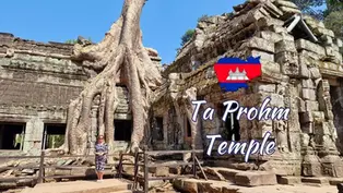 Woman stands on wooden platform at Ta Prohm Temple, Cambodia. Massive tree roots engulf ancient stone ruins. Blue sky and text overlay.