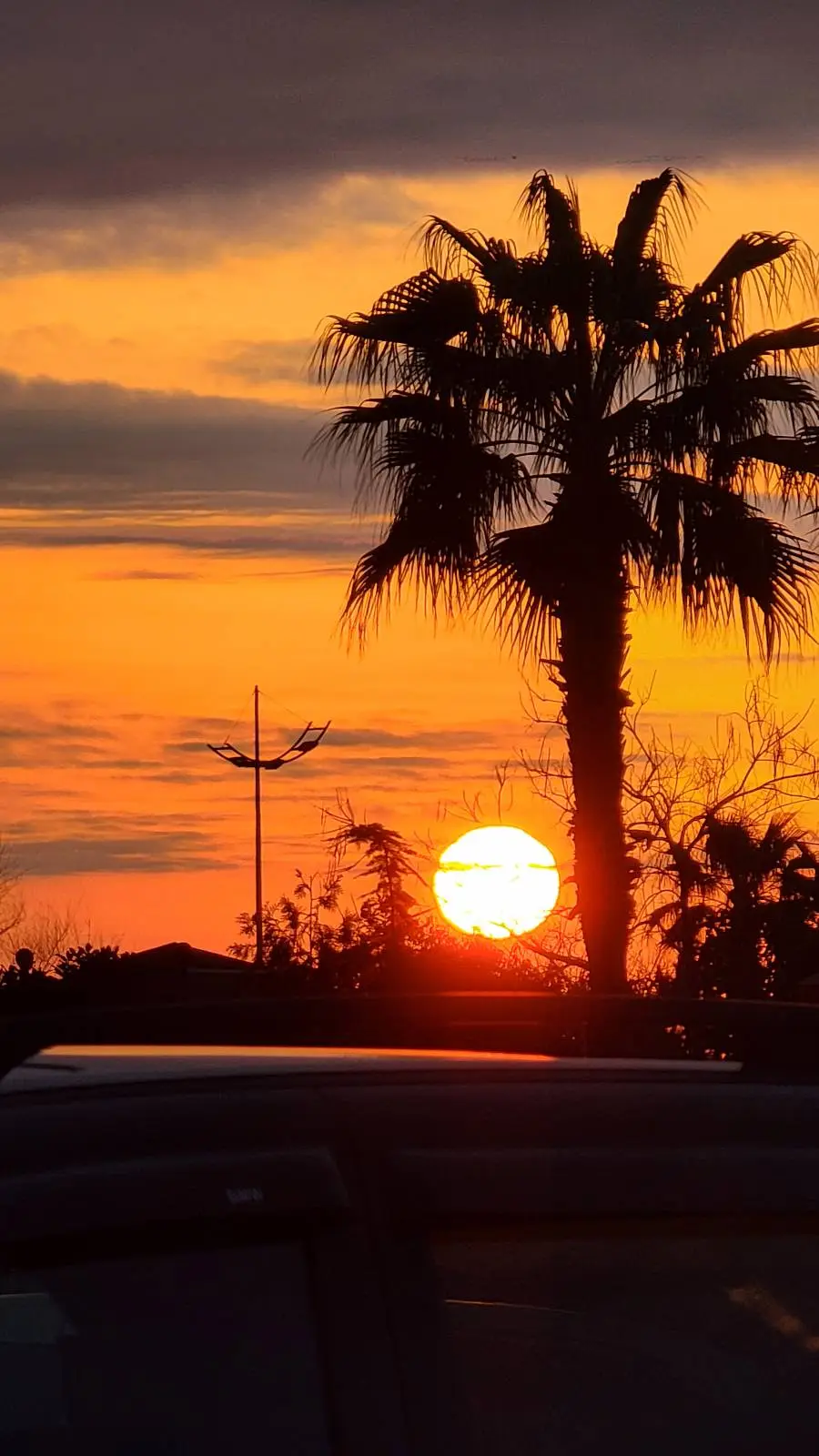 A vibrant orange and yellow sunset with the sun low on the horizon, silhouetting a tall palm tree and some distant structures against a dramatic sky.