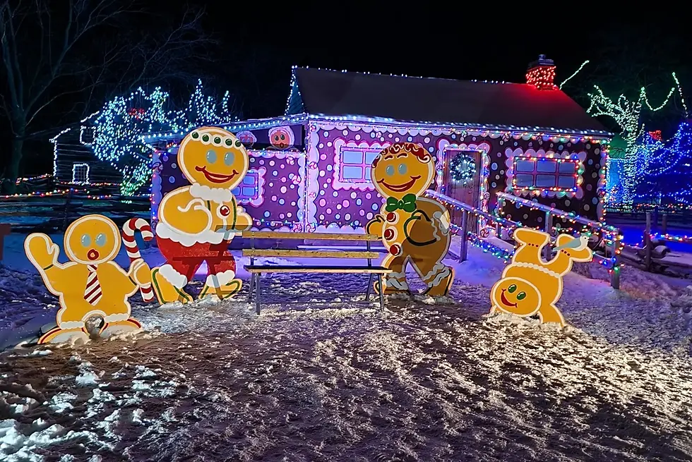 Gingerbread figures and a candy-themed house are brightly illuminated with colorful Christmas lights in a snowy setting.