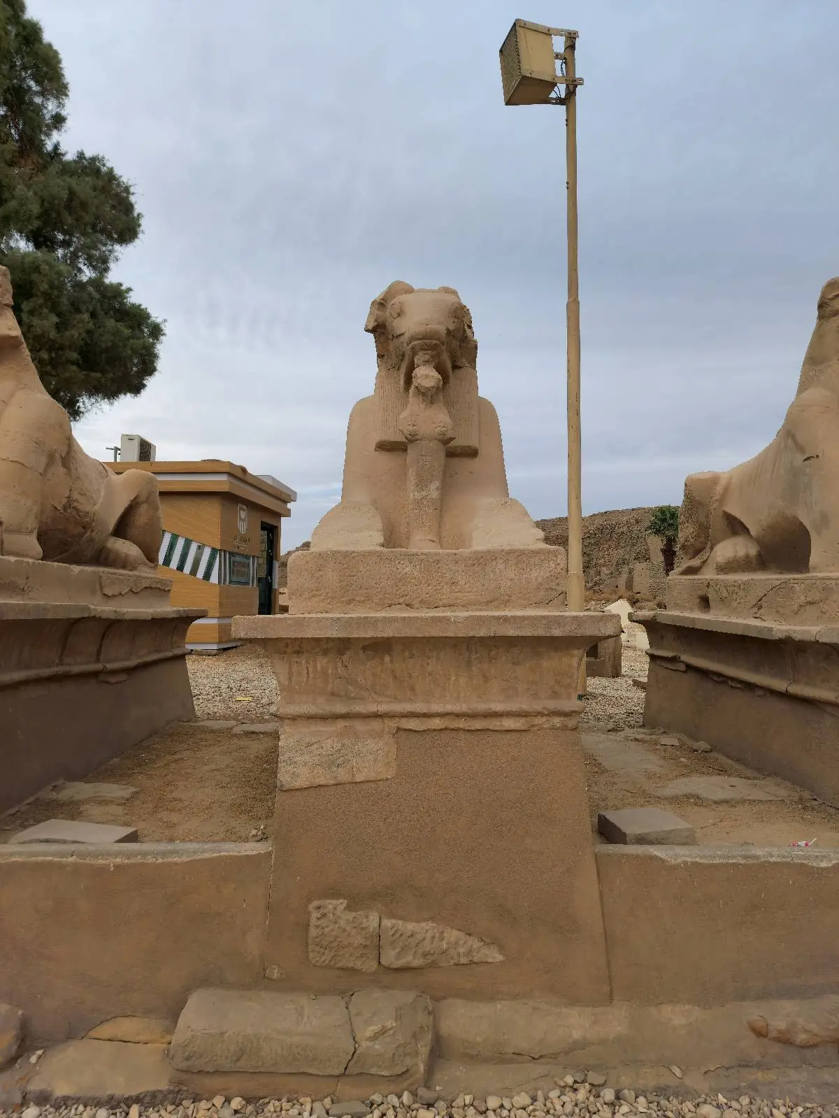 Stone statue of a sphinx with a lion's body and human head, situated between two similar statues, with a lamppost and building in the background.
