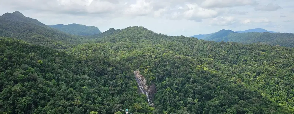 Aerial view of a lush, green forested landscape with rolling hills. A narrow river runs through the middle, surrounded by dense trees. The sky is overcast with patches of white clouds.