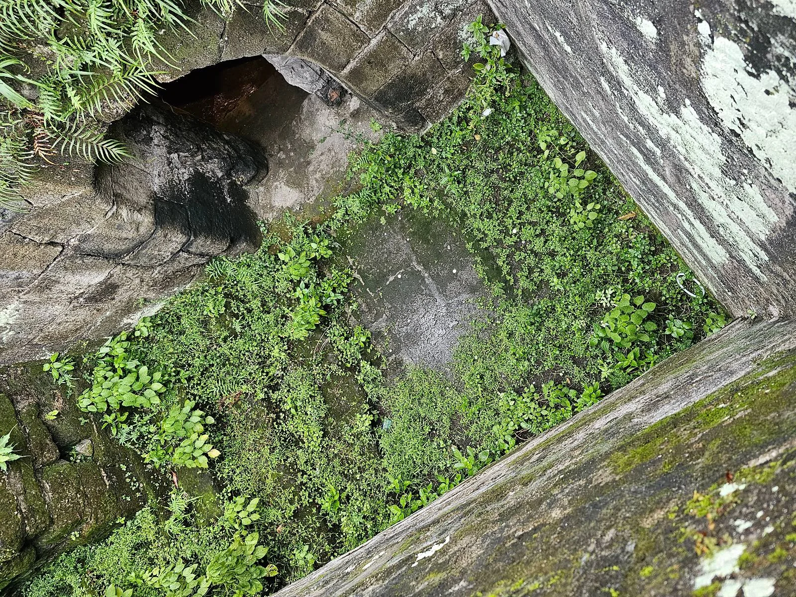 Aerial view of a lush green area surrounded by tall stone walls, with a small dark cave-like opening visible at the top left. The stone surfaces are weathered with patches of moss and lichen.