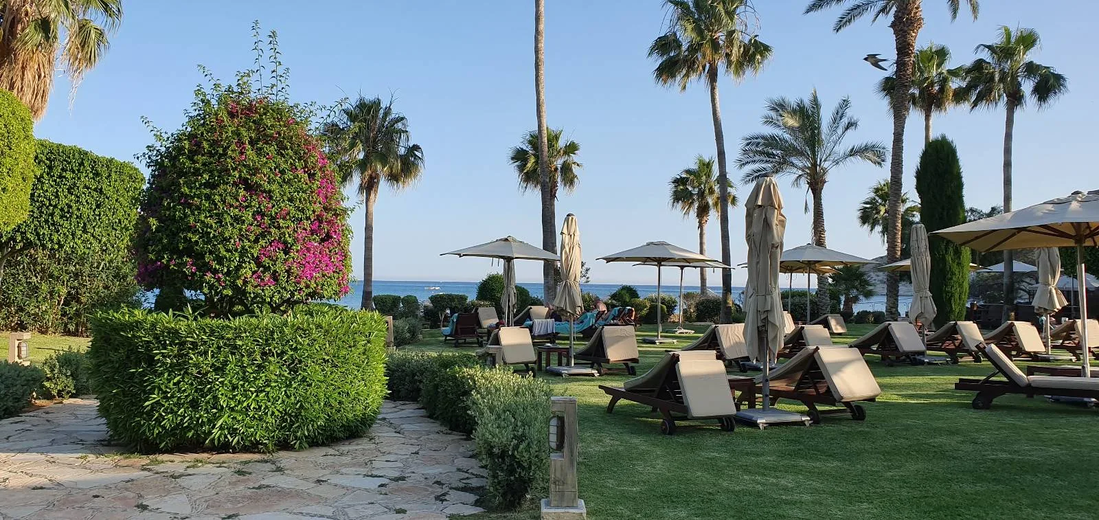 A beachfront garden with sun loungers, umbrellas, and palm trees. The sea is visible in the background under a clear blue sky. Lush greenery and colorful flowers decorate the area, creating a relaxing atmosphere.