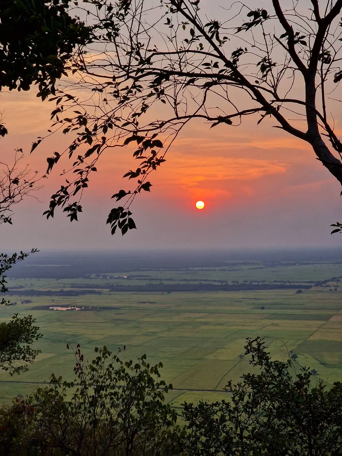 Sunset view over a green landscape, with the orange sun low in the sky, distant fields below, and tree branches framing the scene in the foreground.