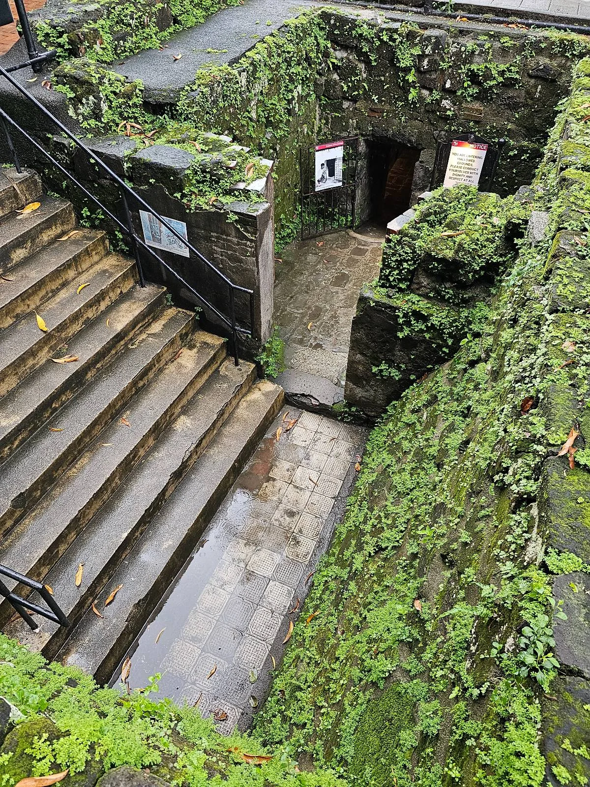 Stone stairway leading down to a small entrance surrounded by lush green moss and plants. The area is damp, with water on the stone floor. Walls and steps are made of weathered stone, giving a historic feel. Posters are seen near the entrance.