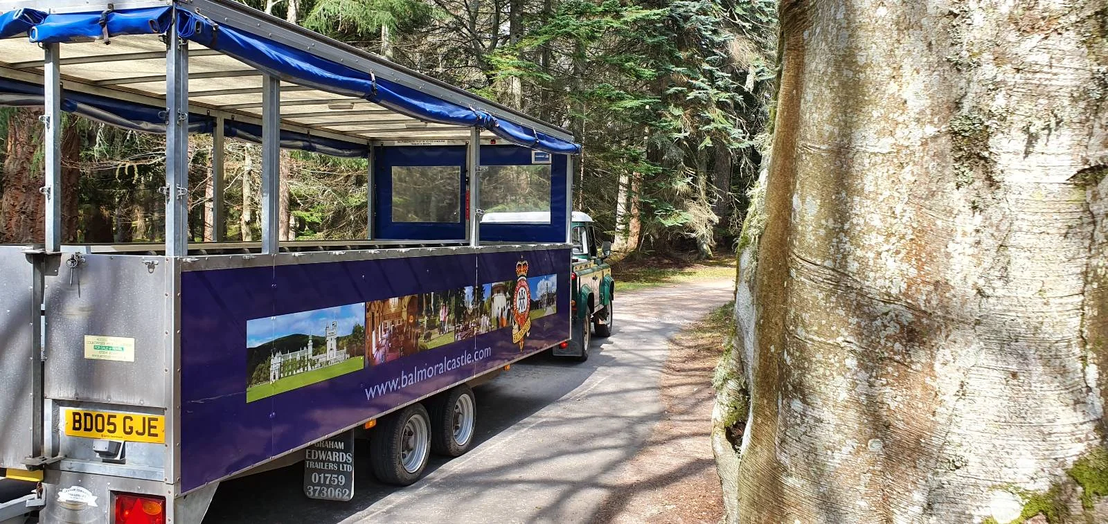 Open-air tour bus on a forest path, surrounded by tall trees. The bus features colorful images on its side and is partially shaded by the tree canopy. Sunlight filters through the leaves, casting dappled patterns on the ground.