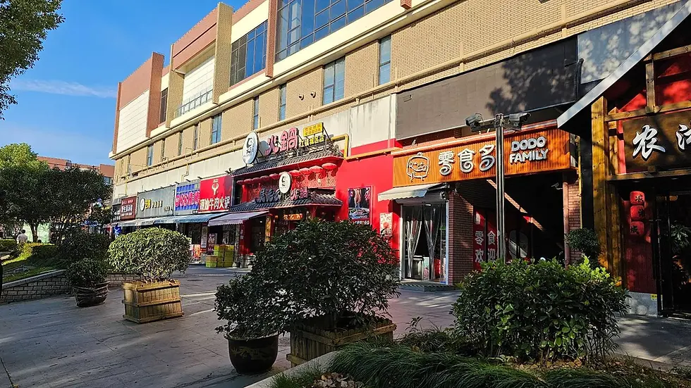 Shops with vibrant signs line a sunny street. Green plants in planters dot the sidewalk. Text includes "DODO Family" on a storefront.
