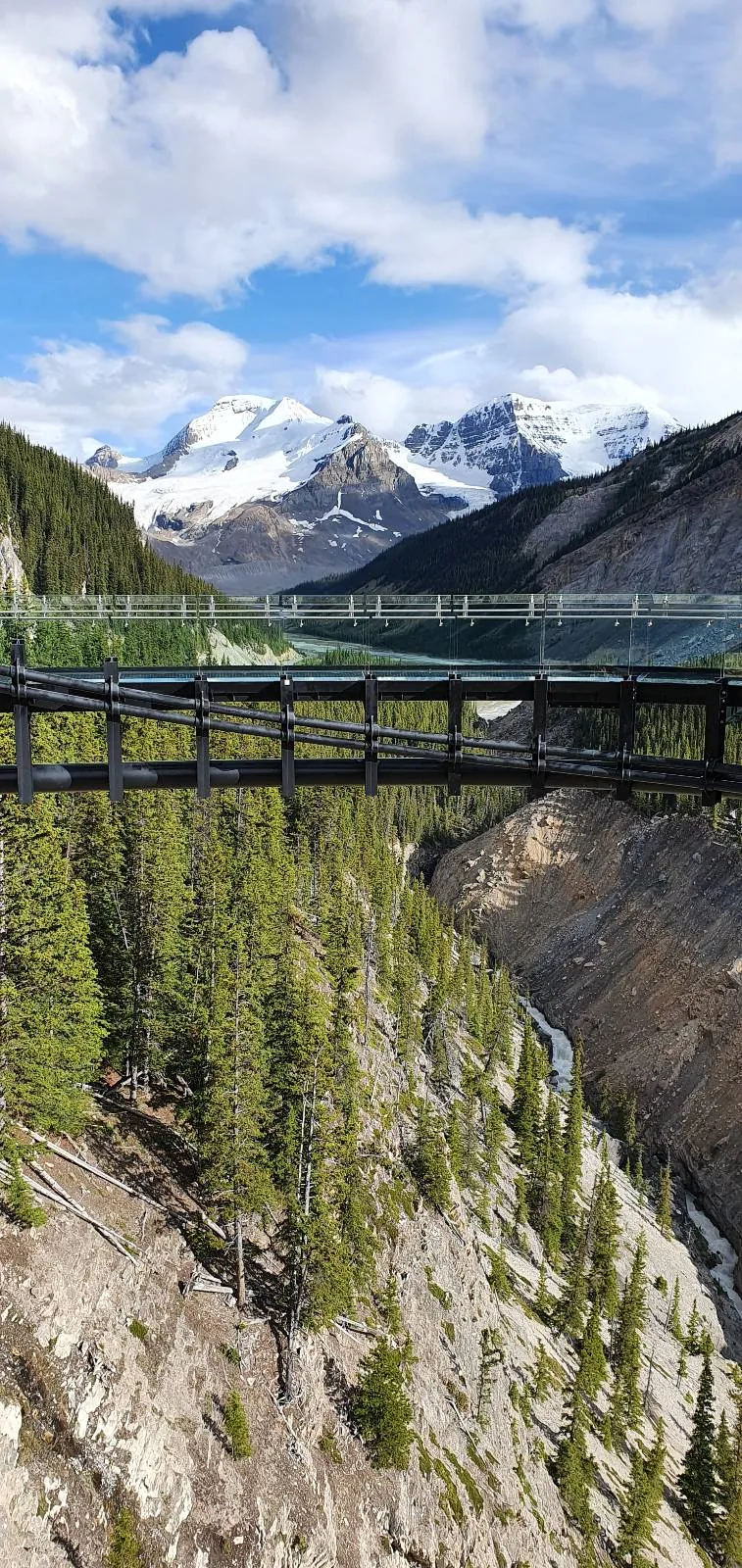 A scenic bridge spans a deep forested canyon with tall pine trees, leading towards snow-capped mountain peaks under a partly cloudy blue sky.