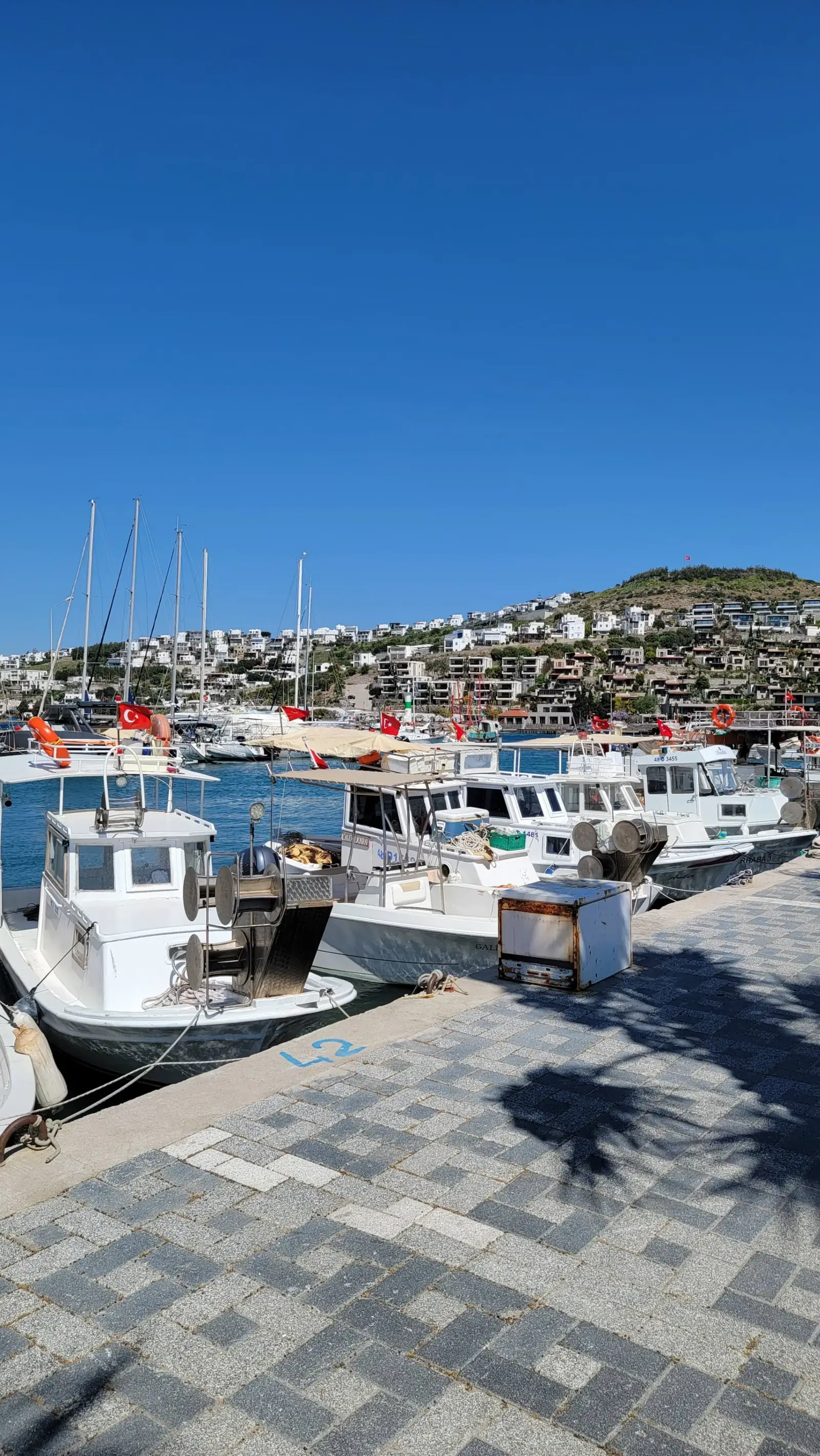 Fishing boats docked at a harbor with a hillside town in the background under a clear blue sky.