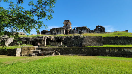 Ancient stone ruins with overgrown grass and a central tower under a clear blue sky evoke the grandeur of the Maya Lowlands. A tree branch frames the left side, while stone steps lead up to this mesmerizing structure.