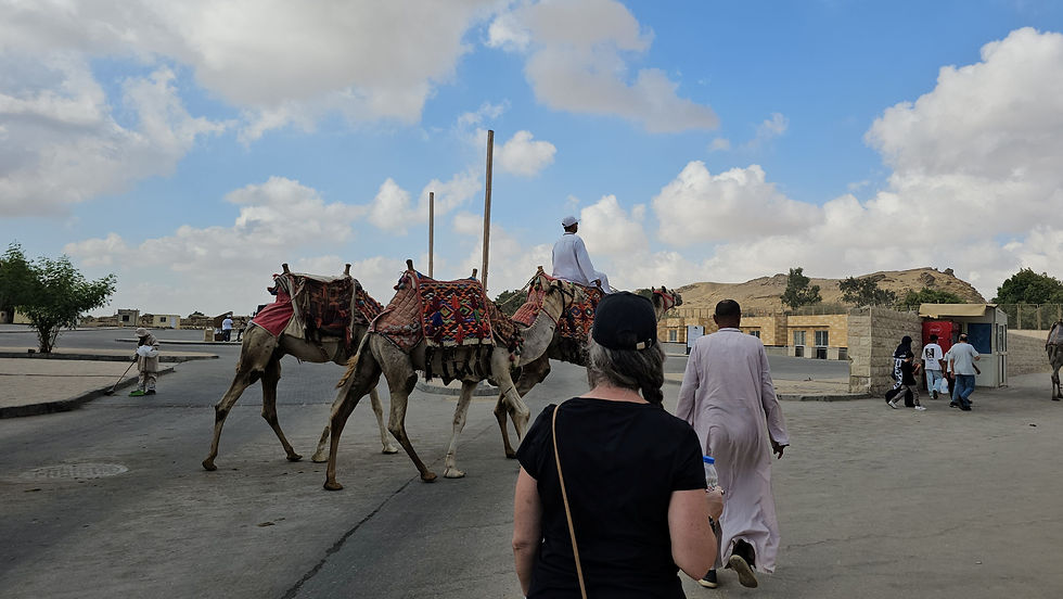 Camels with colorful saddles walk down a street led by a rider. People are nearby, while a blue sky and scattered clouds form the backdrop.