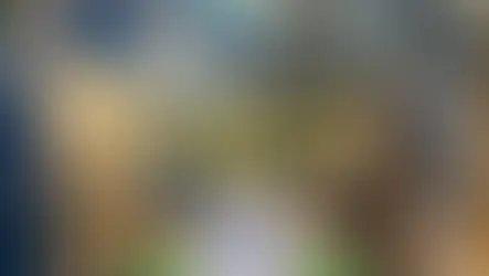 Vibrant blue room with ornate patterns, ceiling fan, and wall lamps. Text: "ALL SEASONS HOMESTAY JAIPUR" over Indian flag design.