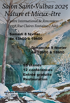 Affiche St Vulbas 2025-1.png
