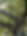 Arbre, CAL Namur, équipe