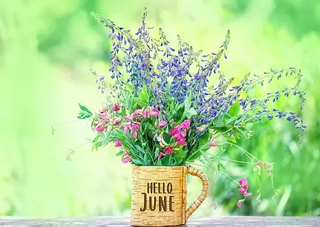 June.webp