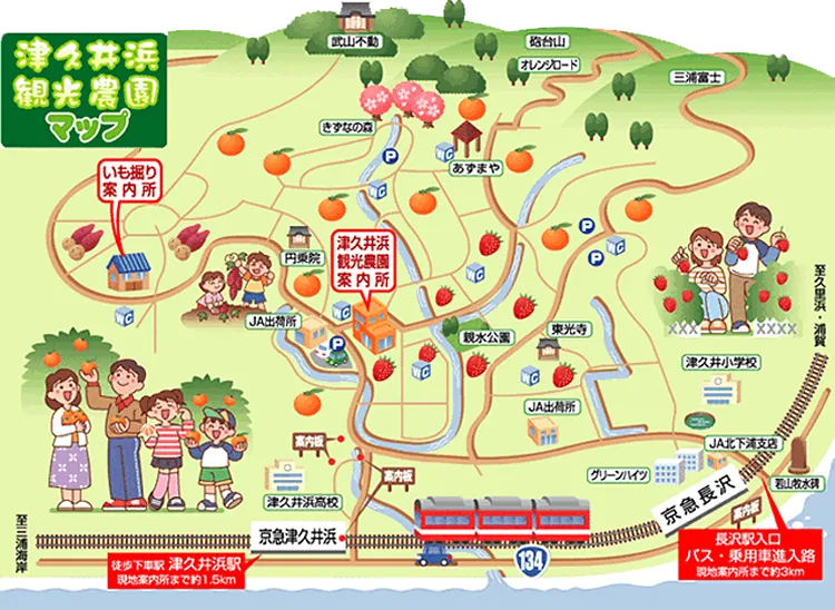 津久井濱觀光農園園區地圖，上面有清楚的園區路線圖和插畫