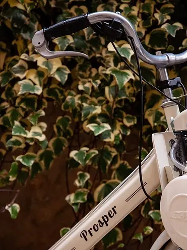 Copie de prosper-solex-electrique-blanc.webp