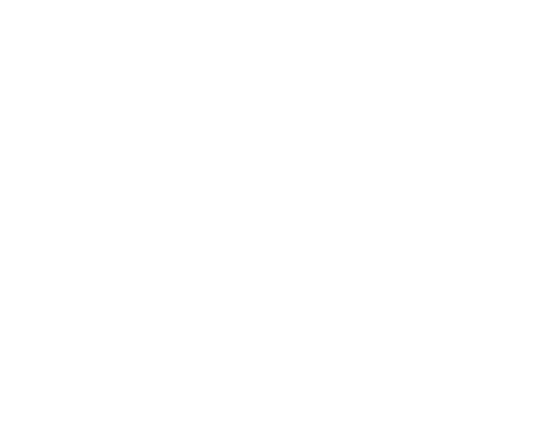 SETA BRANCA.png