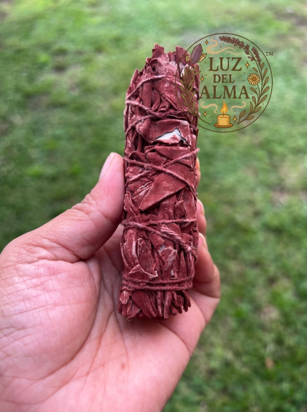 Red Sage in hands