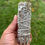 Thumbnail: White Sage Salvia Apiana
