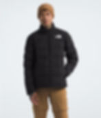 North Face Jacket Comparison
