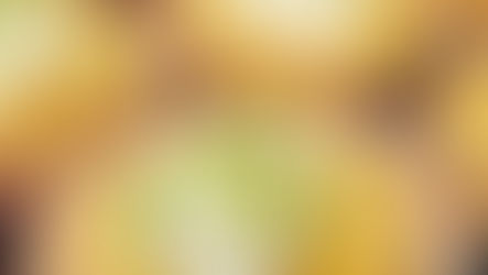 Mini Lime Tartlets with Macaroon Crust