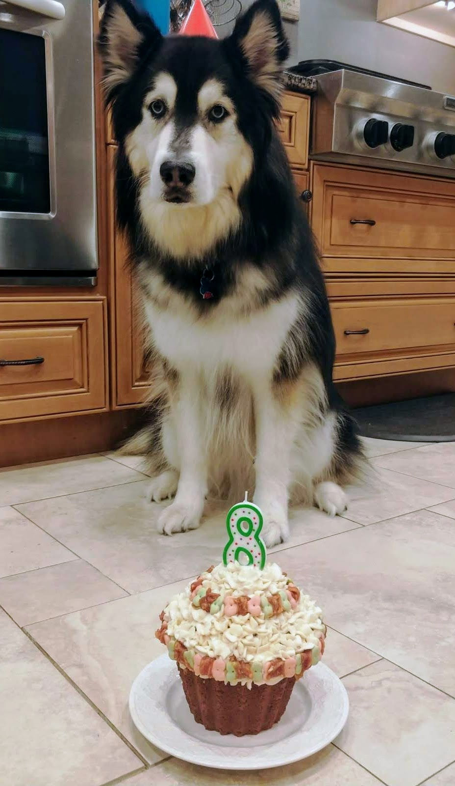 Peanut Butter Banana Pupcake (Dog Cake) Recipe