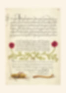 Kalligrafi: Trompe l'oeil Nr. 1 FORSIDE