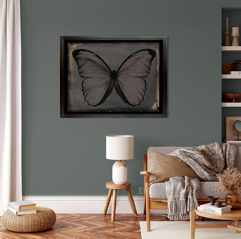 Miniaturebillede: Vintage Butterfly by Ferdinand