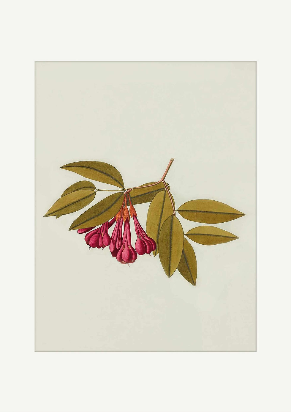 Miniaturebillede: Blomsterserie Ferdinand Nr. 1-10 (Serie på 27 i alt)