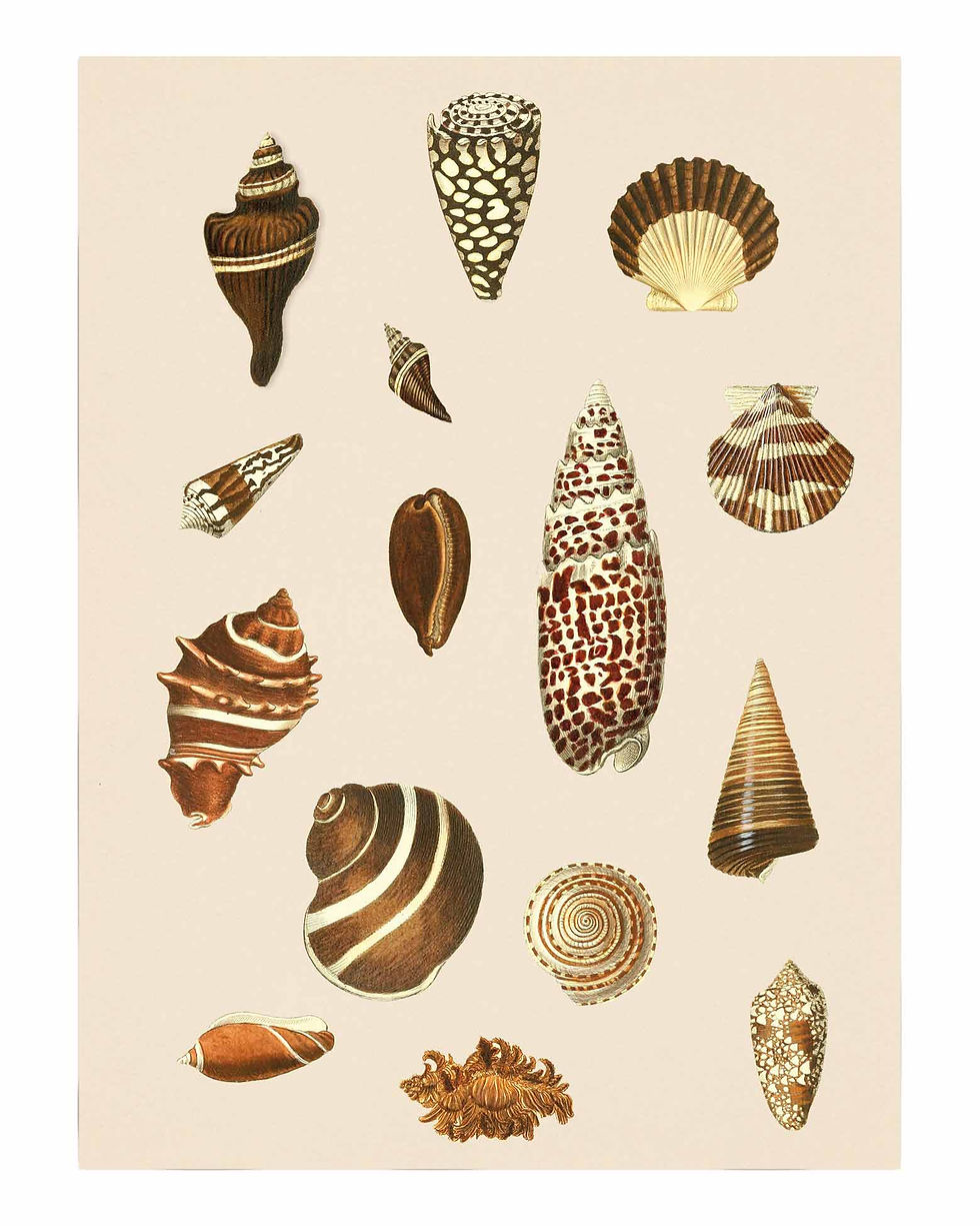 Miniaturebillede: Strandserie Pastel 6 farver