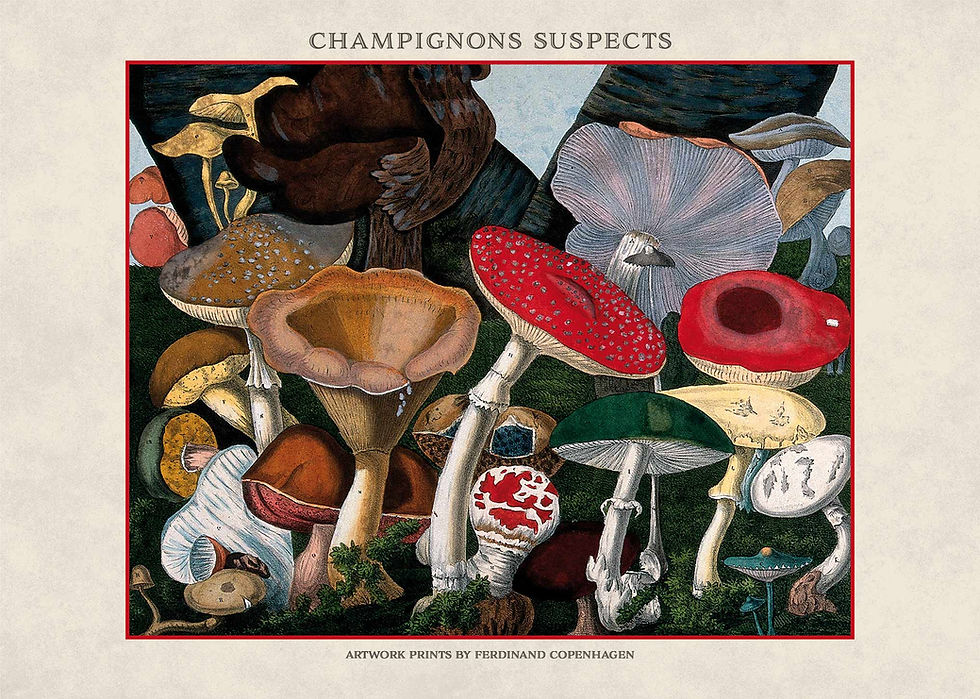 Miniaturebillede: Champignons Serie