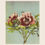 Miniaturebillede: Japan: Collotype Nr. 1