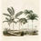 Miniaturebillede: Palme Collage Nr. ABC