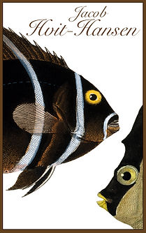 SK FISK 2 WEB.jpg