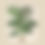 Miniaturebillede: Grønne Eksotiske Planter   1 - 13